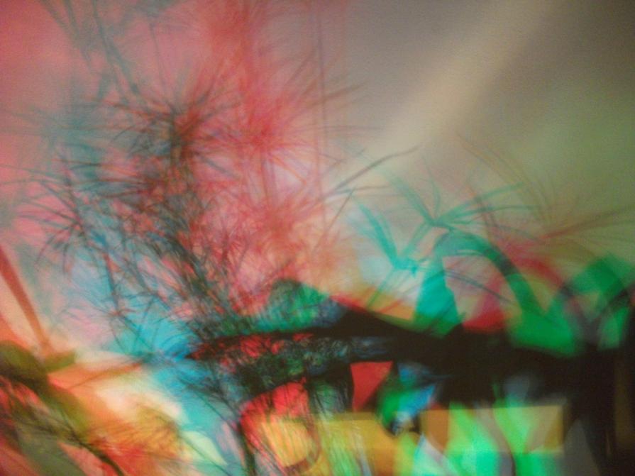 I COLORI DELLA BIODIVERSITÀ