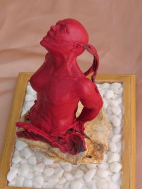 Diversità (diritti ignorati)