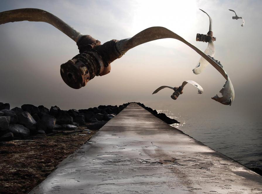 "World War II Families for Return of Missing"