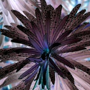 Connessione ultraterrena 