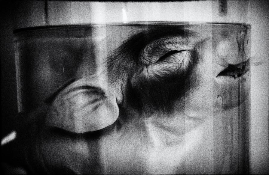 Senza respiro  (Breathless) 