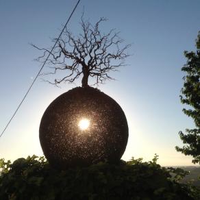 The Last Tree - L'ultimo albero