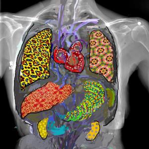 felt sense in a good day felt sense in a good day