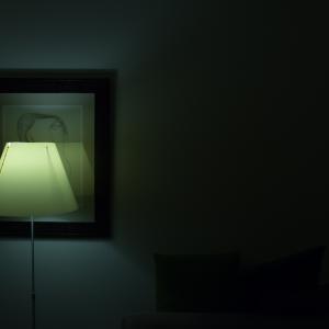 A Sky Full Of Stars For A Roof