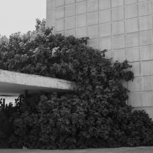 Senza titolo dalla serie 