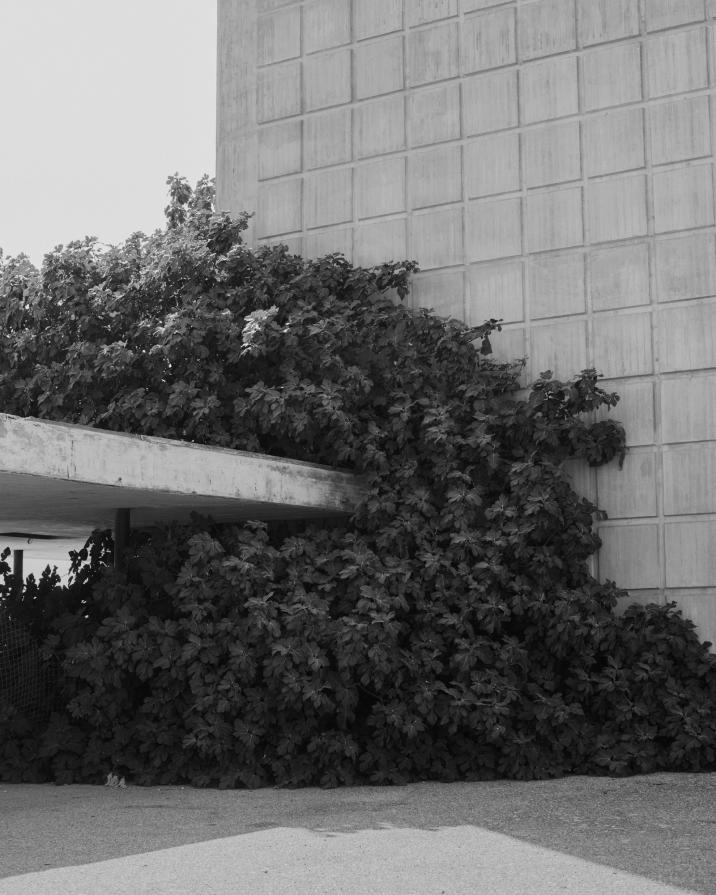 Senza titolo dalla serie 