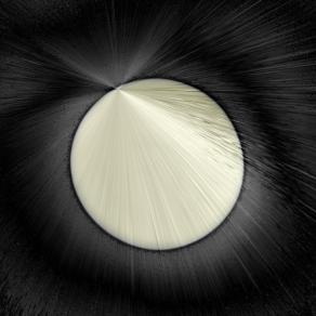 La luce è in ogni atomo  ( The light is in every atom ) 