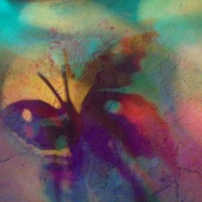 I COLORI DELLA BIODIVERSITÀ