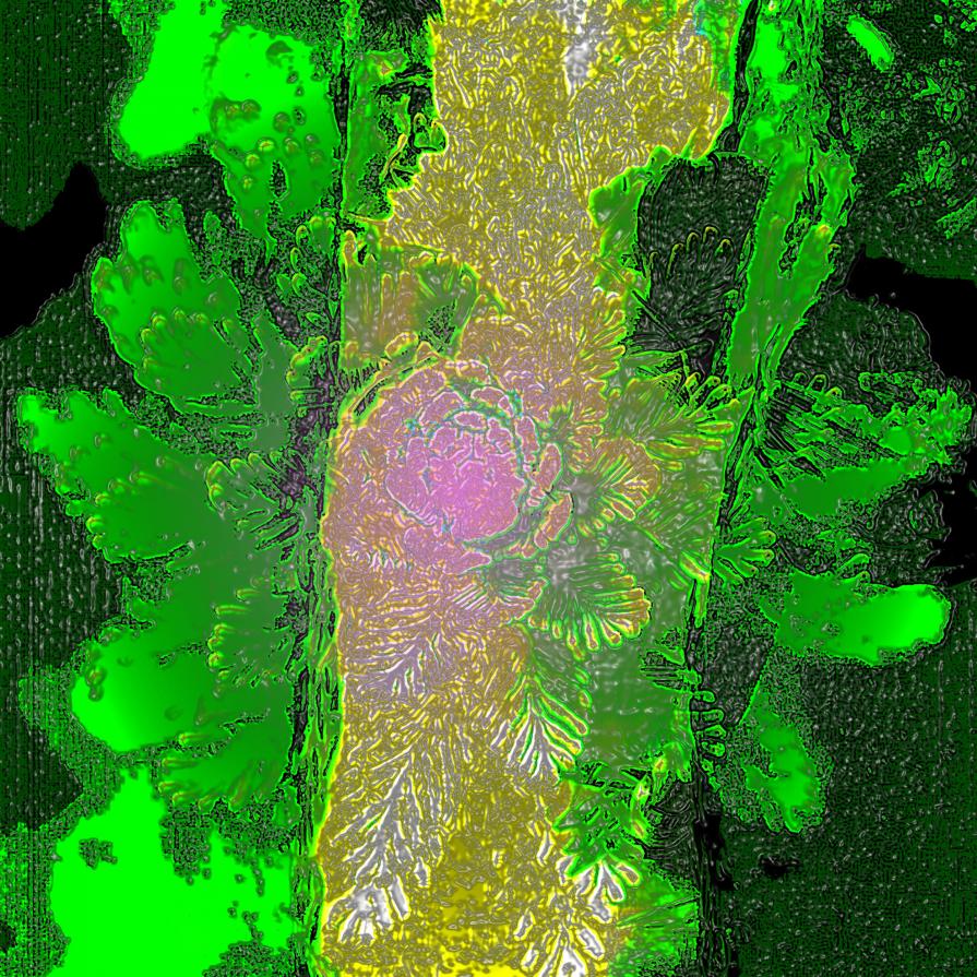 Che il vento non può spegnere . . . 