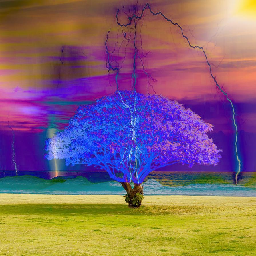 ... il ricordo di chi si ama...!!! ... il ricordo di chi si ama...!!!