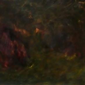 La ragazzina venuta dal Cuzco.