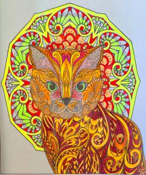 La ricetta dei gatti...!!;