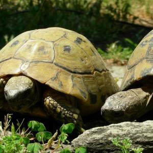 Grecia. Salonicco. Sulla Via Egnatia tutto scorre da millenni