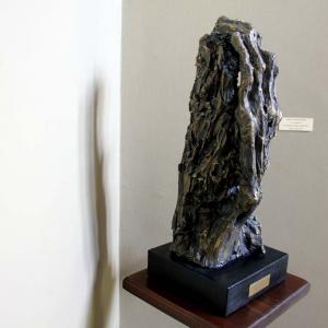 XMAS ART IN MODENA - volti personaggi, luoghi XMAS ART IN MODENA - volti personaggi, luoghi