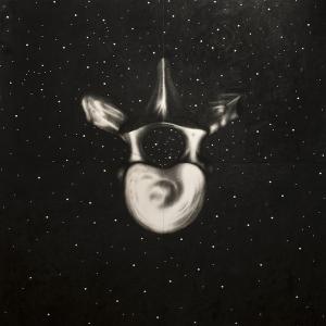 Omar Galliani. Il corpo del disegno