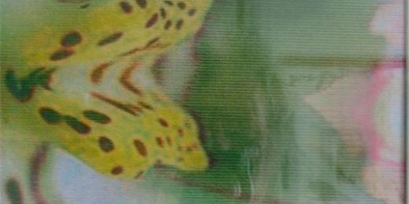 Inner Landscapes - Eva Fidjeland & Jane Walker Inner Landscapes - Eva Fidjeland & Jane Walker