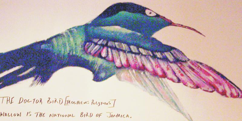 Victory & Celebration Victory & Celebration