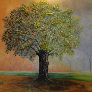 LUCI, COLORI ED EMOZIONI