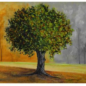 LUCI, COLORI ED EMOZIONI