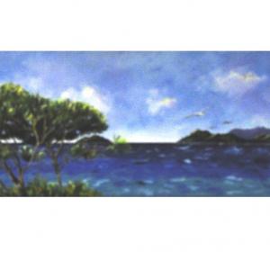 LUCI, COLORI ED EMOZIONI