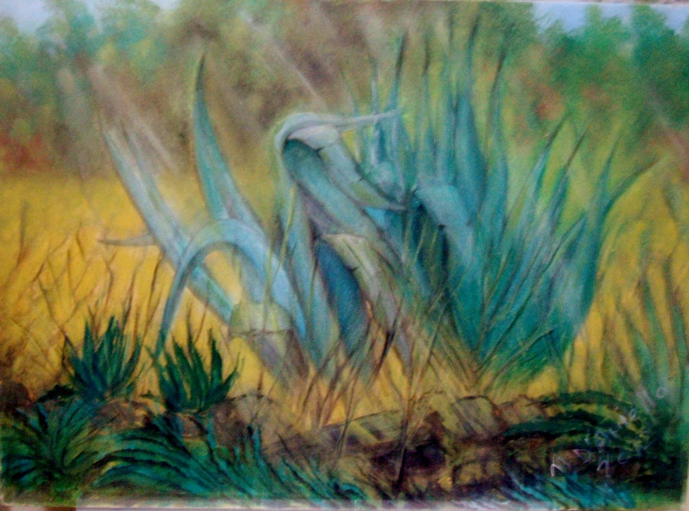 PREMIO VAN GOGH 2012