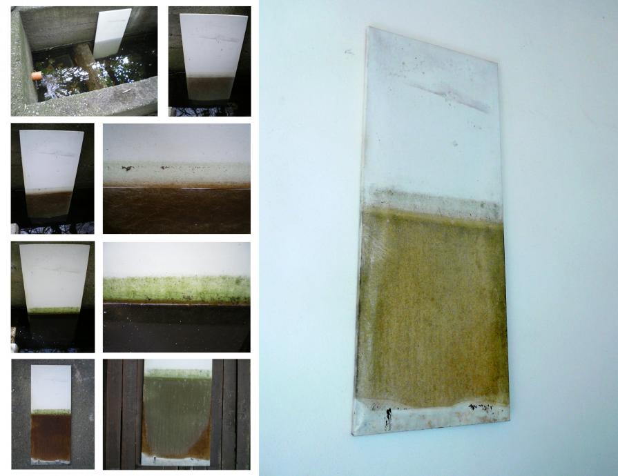 INTERVENTO n°10  “Immersione01”