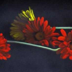 Marina Guarino - Gerbere