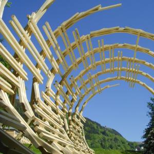 Meitheal Adhmaid | Woodcollective