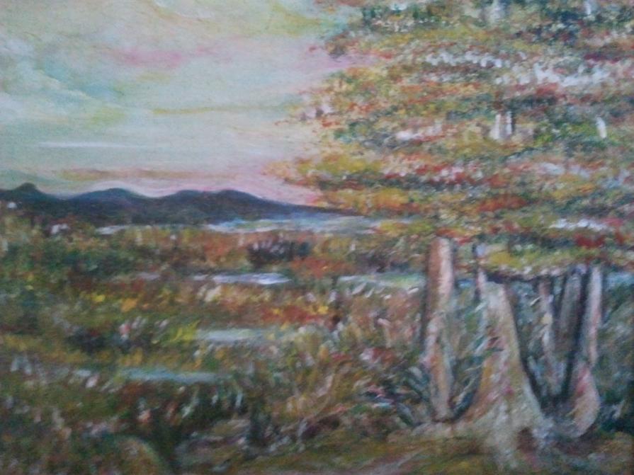 uno spicchio del lago di Massaciuccoli