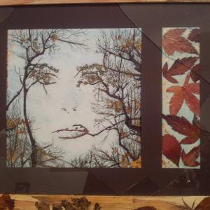 ALBERI , SOLO ALBERI , AMATI ALBERI .