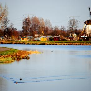 Kinderdijk