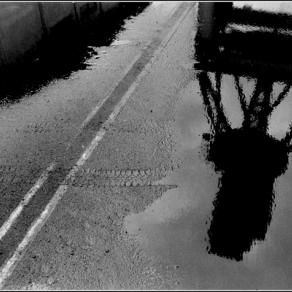 specchi di una vita silente