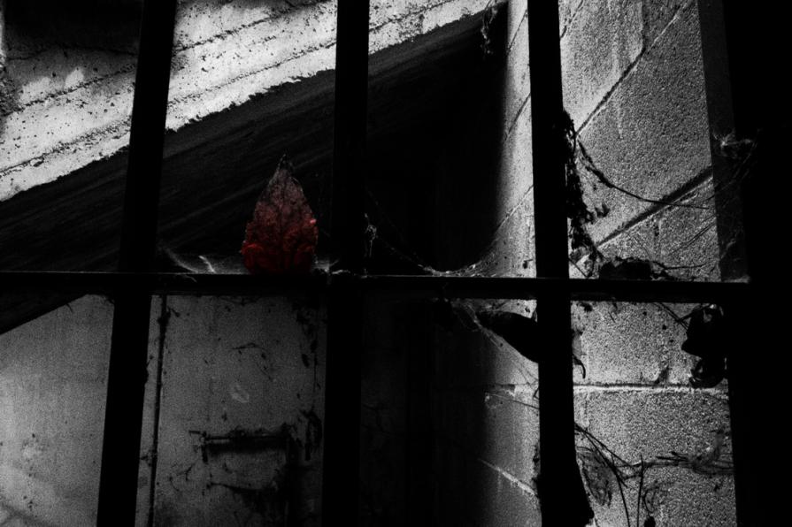 Per te le sbarre non hanno importanza 