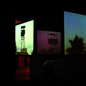 The Connivance of Watching Birds