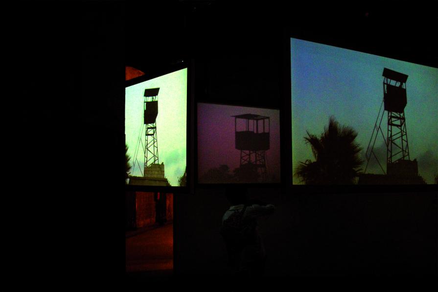 The Connivance of Watching Birds