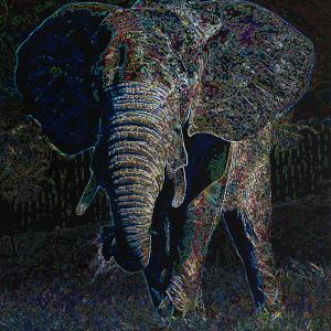 70 years is a long time on the same patch of grass