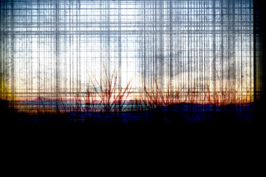 From my brain's window 