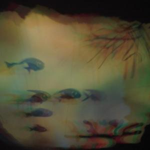 I colori della biodiversità -2016