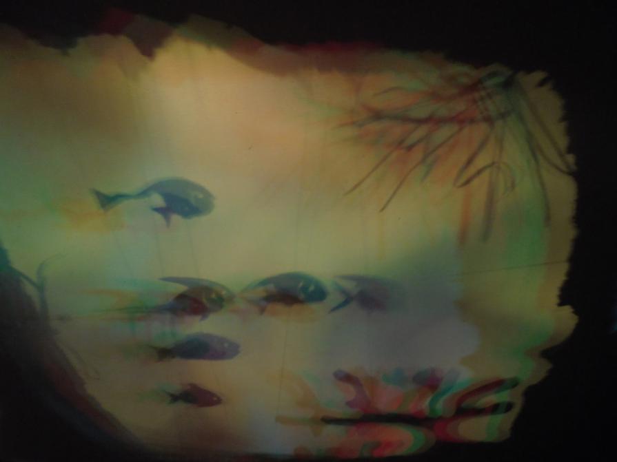 I colori della biodiversità -2016