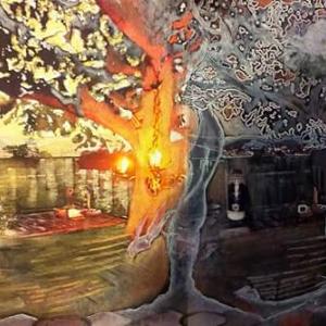 ALBERI E PRESENZE FANTASMATE ALLA PITTA