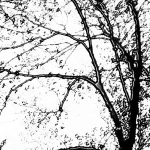 Cicatrici nel cielo10, SC-art Cicatrici nel cielo10, SC-art