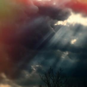 Tutto è possibile   ( Everything is possible ) 