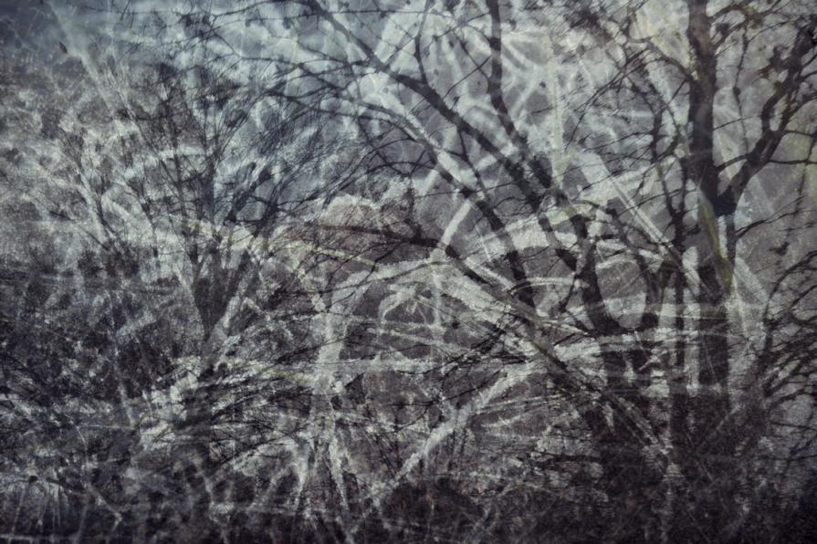 Lasciami andare  ( Let me go ) 