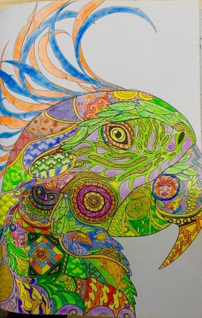 THERAPY COLOR Tanyyy!!! :D - 50 - Parrot 