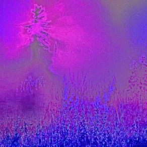 … chiudi gli occhi e concentrati sulle tue sensazioni, perchè anche un giorno di nebbia non è per caso.