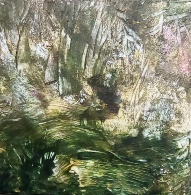 Gli occhi del bosco.