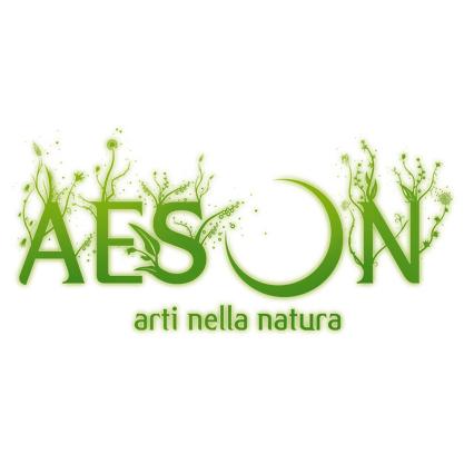 AESON -arti nella natura