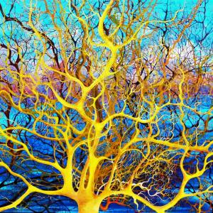 Maristella Angeli, will participate in the International Art Exhibition "Art Shopping for Christmas 2019", Rome Maristella Angeli, will participate in the International Art Exhibition "Art Shopping for Christmas 2019", Rome