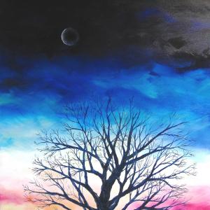 ALBERI , SOLO ALBERI , AMATI ALBERI .