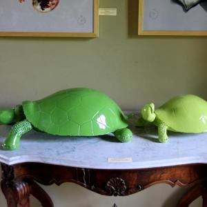 Natura:Luci e Ombre a Modena.